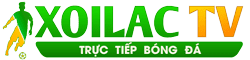 lịch bóng đá ngày mai